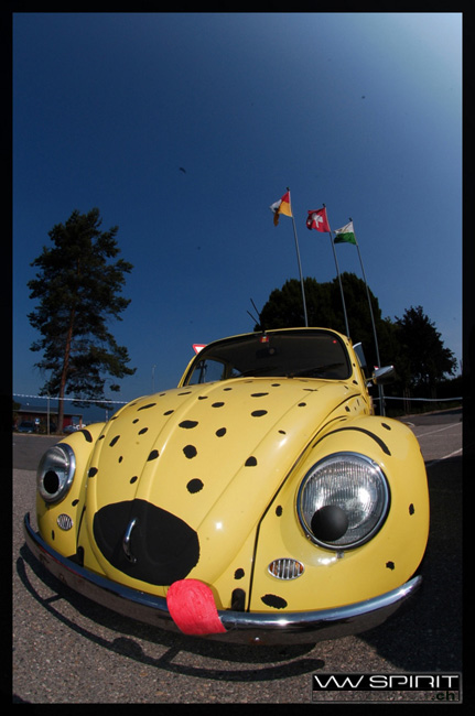 gal/Meeting_vwspirit_2006/lefrouze_meeting_vwspirit_2006_049.jpg