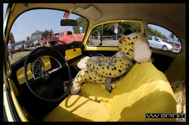 gal/Meeting_vwspirit_2006/lefrouze_meeting_vwspirit_2006_050.jpg