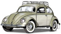 54beetle.jpg