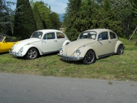 Filename=DSCN0009.JPG
Filesize=394KB
Dimensions=800x600
Date added=Sep 05, 2010 DSCN0009.JPG