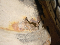 Filename=DSC00015~1.JPG
Filesize=60KB
Dimensions=640x480
Date added=Mar 09, 2007 DSC00015~1.JPG