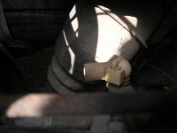 Filename=DSCN1957.JPG
Filesize=43KB
Dimensions=778x584
Date added=Aug 02, 2006 DSCN1957.JPG