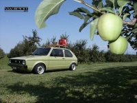 Filename=PICT0106.jpg
Filesize=64KB
Dimensions=800x600
Date added=Aug 30, 2006 PICT0106.jpg